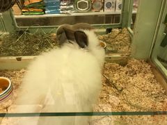 -龙猫仔乐园(惠福东路店)