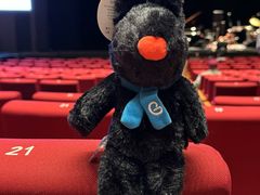 -交通银行前滩31演艺中心