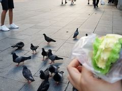 -詹爷爷乌节路街头冰淇淋