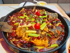 -老板恋上鱼(高新万达店)