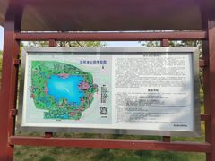 -莲花池公园