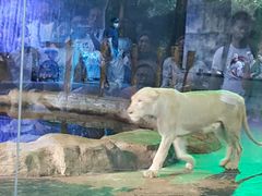 -清迈夜间动物园