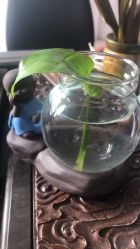 -发饰美男士增发补发假发定制店