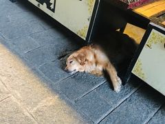 -老渔家白族石板烧旗舰店