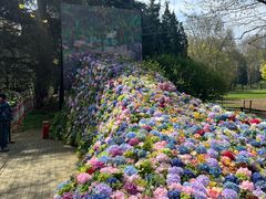 -上海共青森林公园