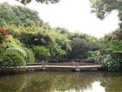 -汇龙潭