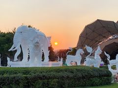-清迈夜间动物园