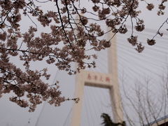 -南浦大桥长途旅游客运站