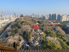 -黄鹤楼公园(黄鹤楼)