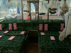 水产区-荔城生鲜盛宴(番禺旗舰店)