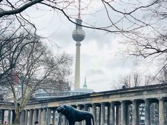 -欧洲被害犹太人纪念碑