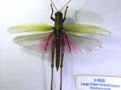 -香港科学馆