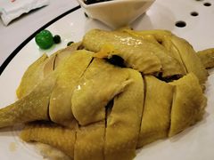 特色白切草母鸡-新名仕新白玉兰餐厅