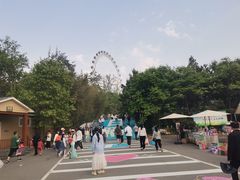 -日照海滨国家森林公园