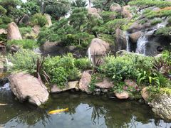 -罗红摄影艺术馆