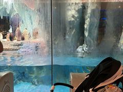 -帝企鹅自助餐厅•儿童岛•真企鹅(长隆企鹅酒店)