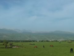 -新疆那拉提国家旅游度假区