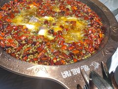 招牌水煮草鱼-雲蜀龙阁·金牌水煮鱼(方庄店)