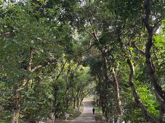 -燕晗山郊野公园