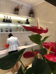 点击看大图 -昆明梦想医疗美容医院