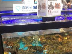 水产区-盒马鲜生(联投广场店)