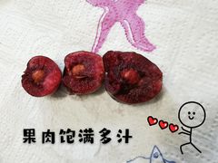 -沈阳市八家子水果批发市场