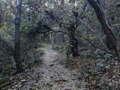 -宝界山林公园