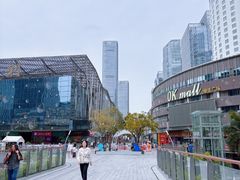 -深圳湾万象城(南山店)