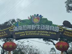 -海南热带野生动植物园