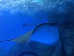 -常州海昌海洋探索馆