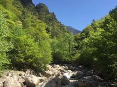 -青峰峡国家森林公园