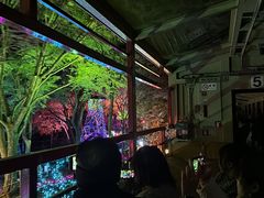 -岚山嵯峨野观光小火车