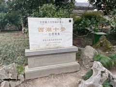 -西湖游船