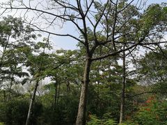 -云溪植物园
