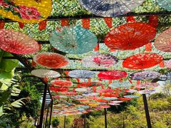 -田园寨农园观光园