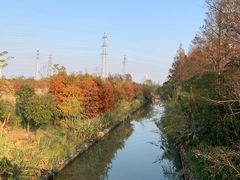 -上海长兴岛郊野公园