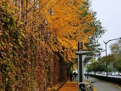-明故宫遗址公园