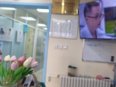 -全心全意连锁动物医院·微创中心·内科急重症·心脏专科(丰管路店)