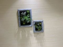 -幸福蔬·时尚蔬食(黄山湖公园店)