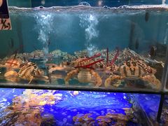 水产区-南海渔家•海鲜•正宗海南菜(海棠湾店)