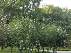 -玲珑塔公园