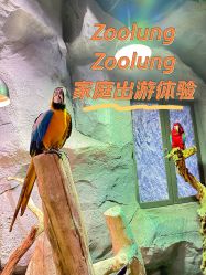 -Zoolung Zoolung动物主题公园(海信广场店)