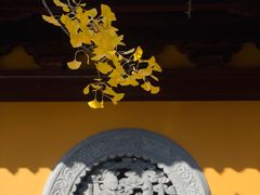 -龙华寺