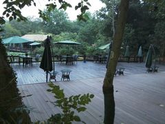 android_upload_pic-西院1号(龙井店)