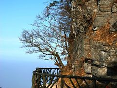 -山沟沟景区