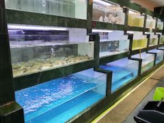 水产区-徐记海鲜(阿波罗店)