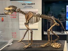 -北京周口店北京人遗址博物馆