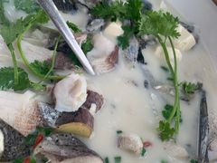 -全乐鱼馆·淳牌有机鱼直营店