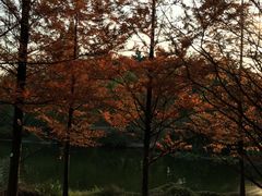 -浙江农林大学(东湖校区)