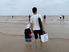 -碧海金沙